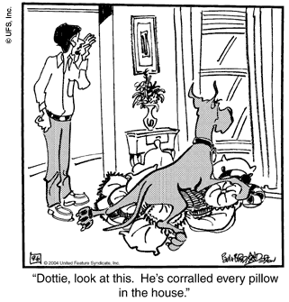 marmaduke